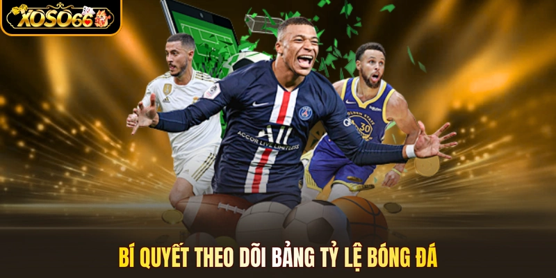 Bí quyết theo dõi bảng tỷ lệ bóng đá