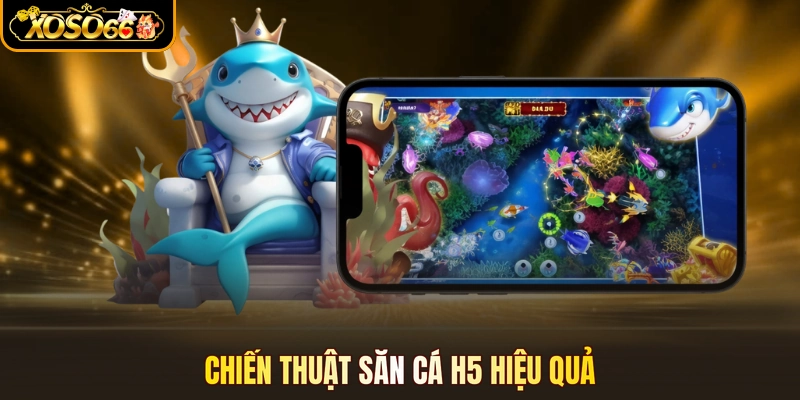 Chiến thuật săn cá H5 hiệu quả