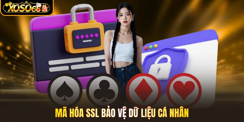 Mã hóa SSL bảo vệ dữ liệu cá nhân
