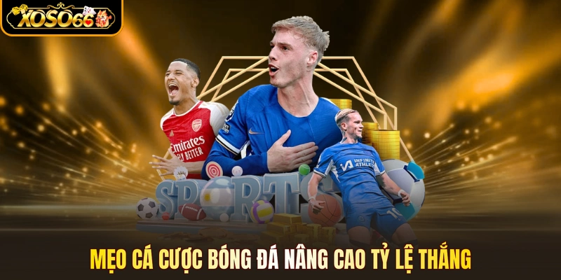 Mẹo cá cược bóng đá nâng cao tỷ lệ thắng