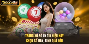 Trang Xổ Số Uy Tín Hiện Nay - Chọn Số Hay, Rinh Quà Lớn
